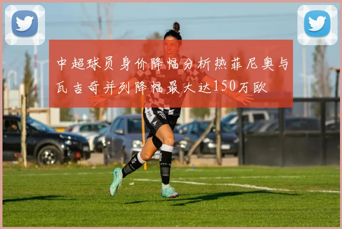 中超球员身价降幅分析热菲尼奥与瓦吉奇并列降幅最大达150万欧