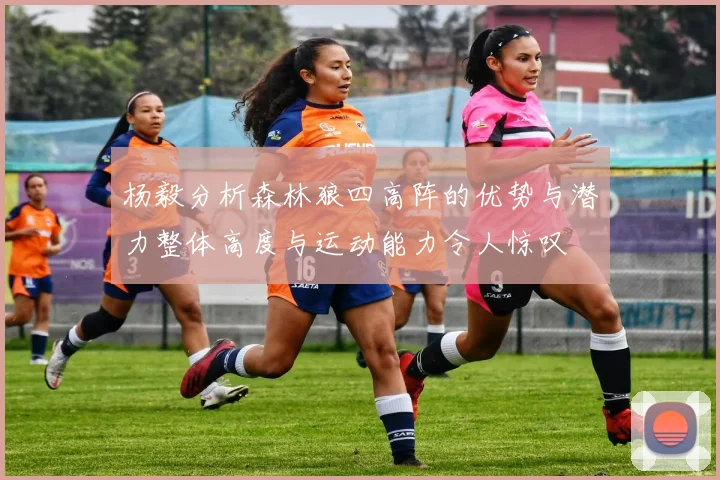 杨毅分析森林狼四高阵的优势与潜力整体高度与运动能力令人惊叹