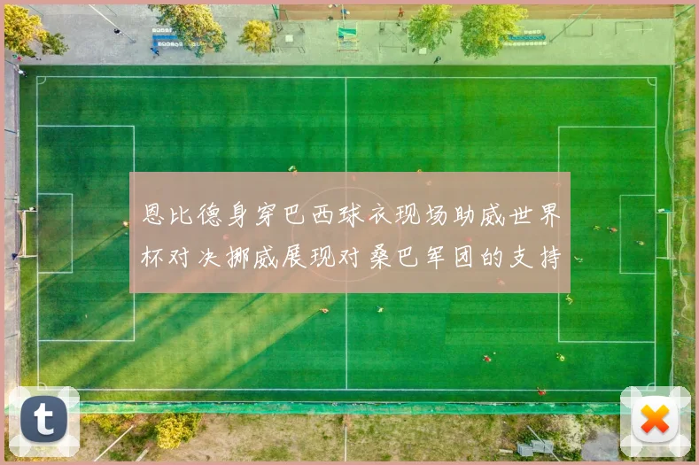 恩比德身穿巴西球衣现场助威世界杯对决挪威展现对桑巴军团的支持