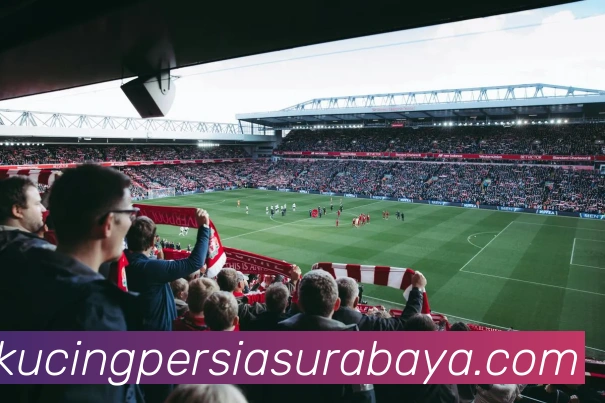 米兰体育官网登录入口全站App